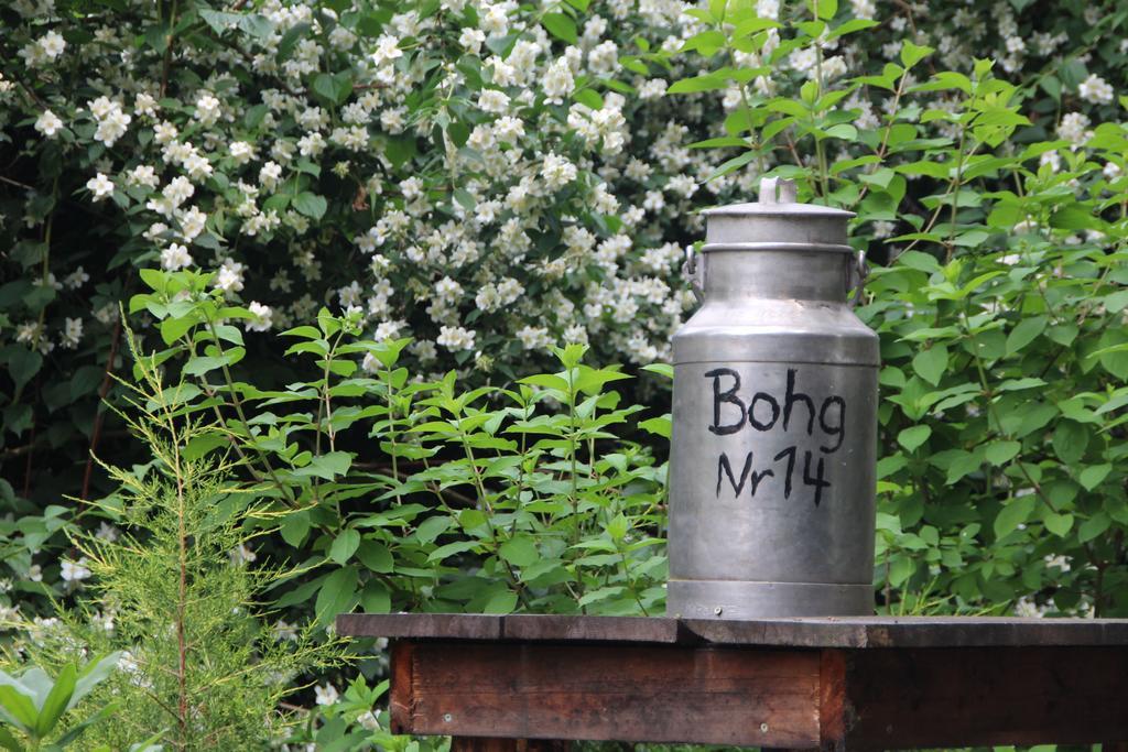 Ferienhof Bohg บวร์ก ภายนอก รูปภาพ